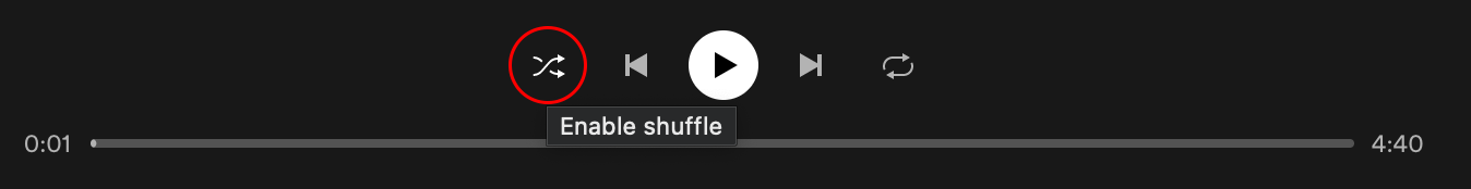 Spotify Shuffle